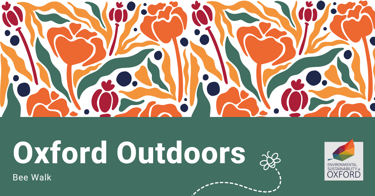 Poster of the event with text saying Oxford Outdoors and a floral pattern on a green and white background.